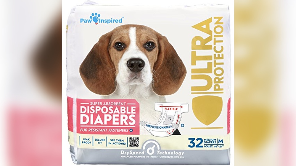 Best Dog Diaper for Incontinence: Top Picks for Ultimate Leak Protection