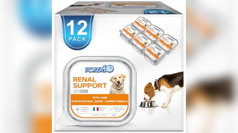 Best Dog Food for Kidney Disease: Top Vet-Recommended Renal Support Choices