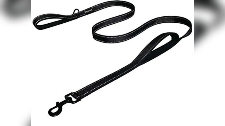 Best Dog Training Leash for Medium to Large Dogs with Extra Control