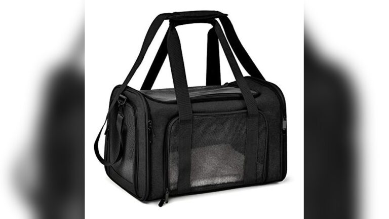 Best Dog Travel Bag for Airlines: Top TSA Approved Carriers Reviewed