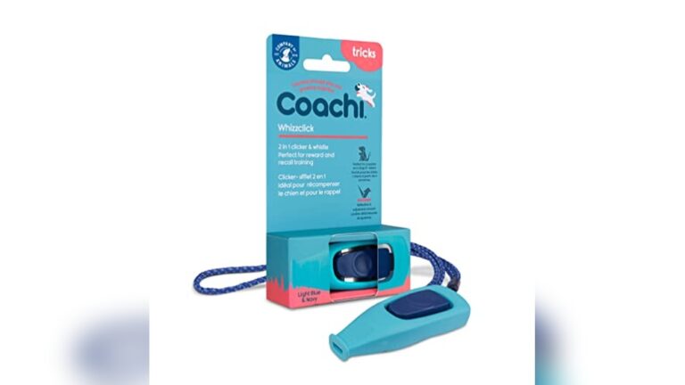 Best Dog Whistle for Recall: Top Training Tools for Effective Control