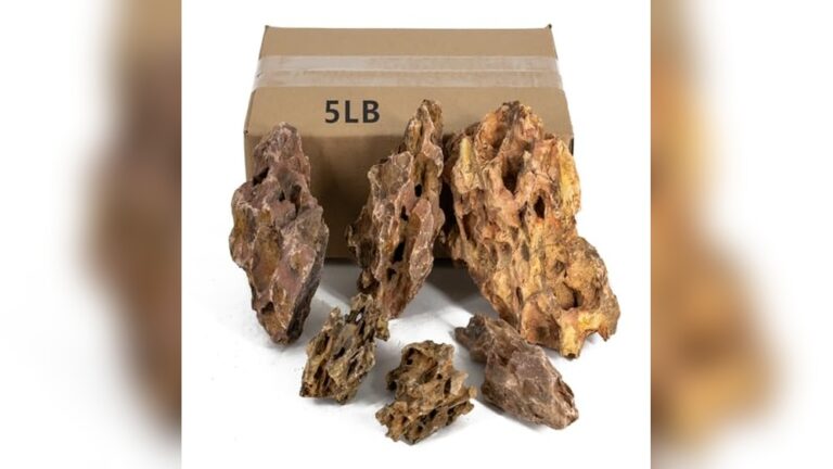 Best Dragon Stone for Iwagumi Layout: Top Picks for Stunning Aquascapes