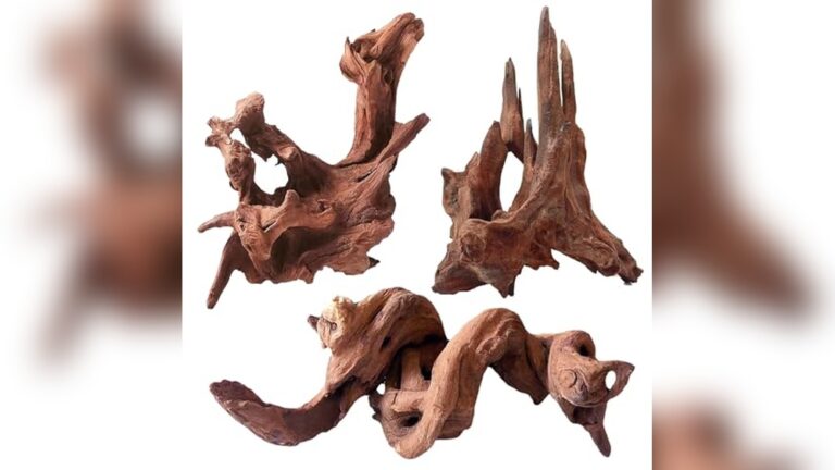 Best Driftwood for Aquascape (No Tannins) – Top Safe Aquarium Decor Choices