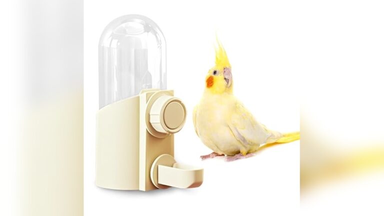 Best Drip-Free Water Bottle for Birds: Top No-Leak Cage Dispensers Reviewed
