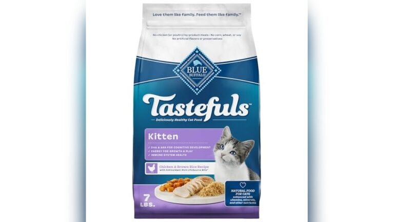 Best Dry Cat Food for Kittens: Top Natural and Healthy Choices