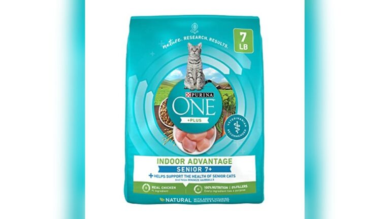 Best Dry Cat Food for Senior Cats to Boost Health and Vitality