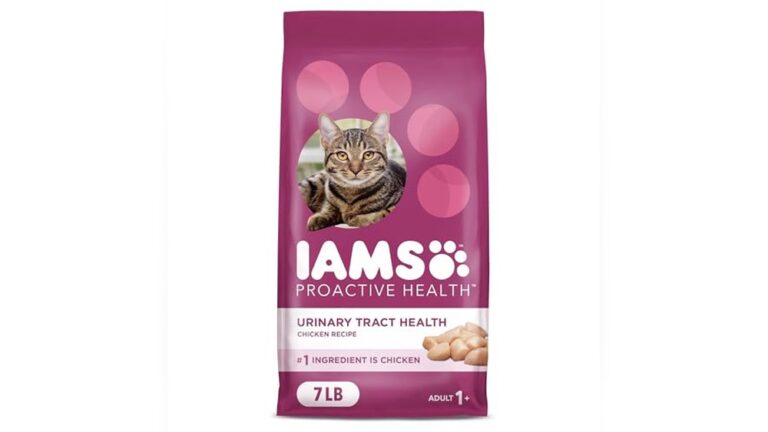 Best Dry Cat Food for Urinary Health: Top Picks for Happy Cats