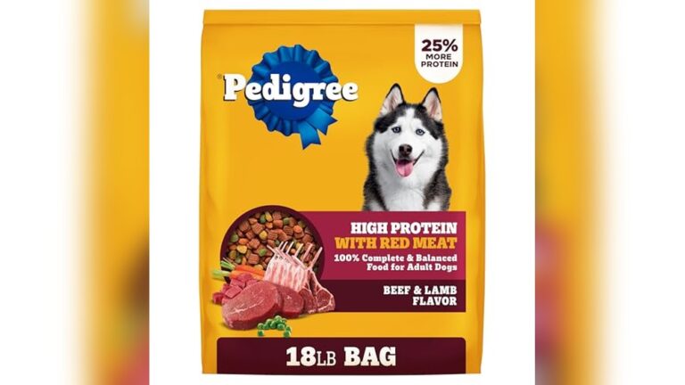 Best Dry Dog Food for Huskies: Top High-Protein Choices Reviewed
