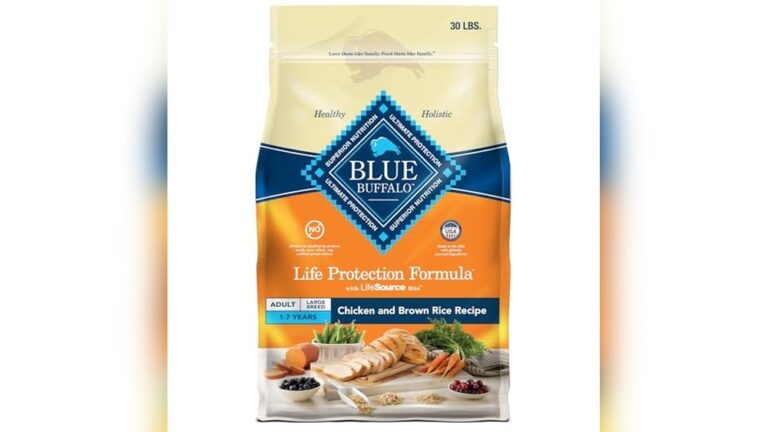 Best Dry Dog Food for Large Breeds: Top Nutritious Choices Reviewed