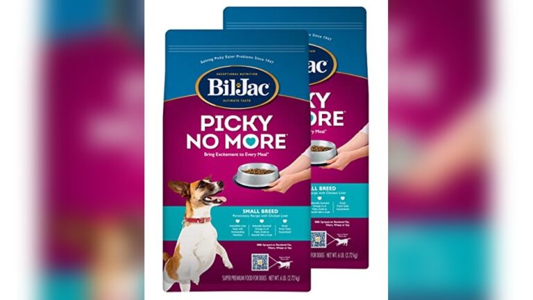 Best Dry Dog Food for Picky Eaters: Top Tasty Choices That Work