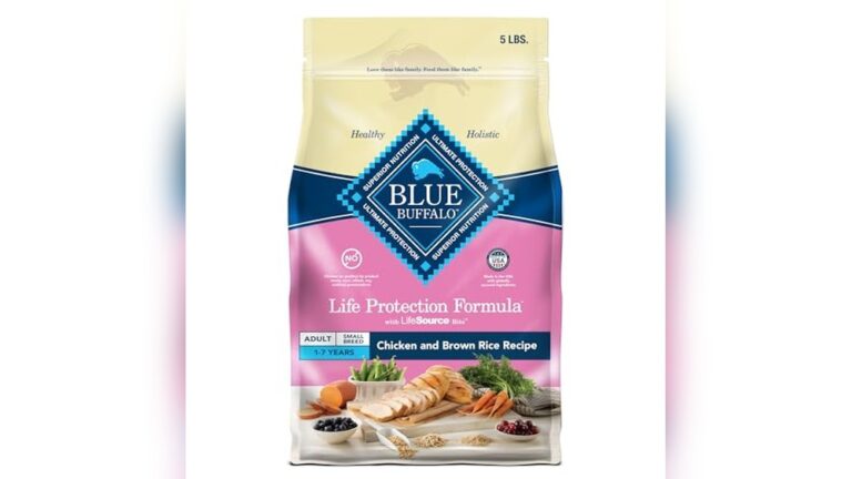 Best Dry Dog Food for Small Dogs: Top Natural & Nutritious Choices