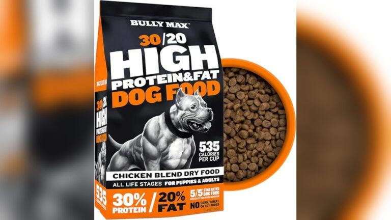 Best Dry Dog Food for Weight Gain: Top High-Protein Picks Reviewed
