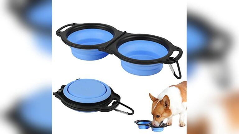 Best Dual Waterer & Feeder for Travel: Top Portable Pet Bowls Reviewed