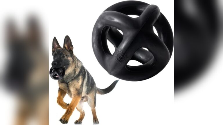 Best Durable Ball for Aggressive Chewers: Top Indestructible Dog Toys