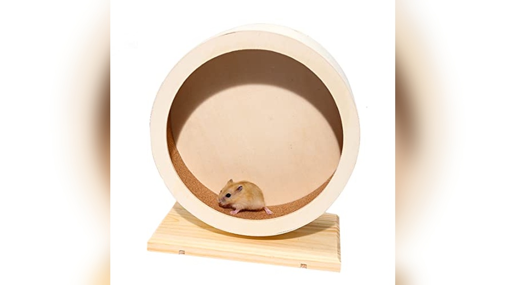 Photo inspiration: Picture Idea: Best Dwarf Hamster Wheel 20 25Cm For Quiet And Fun
