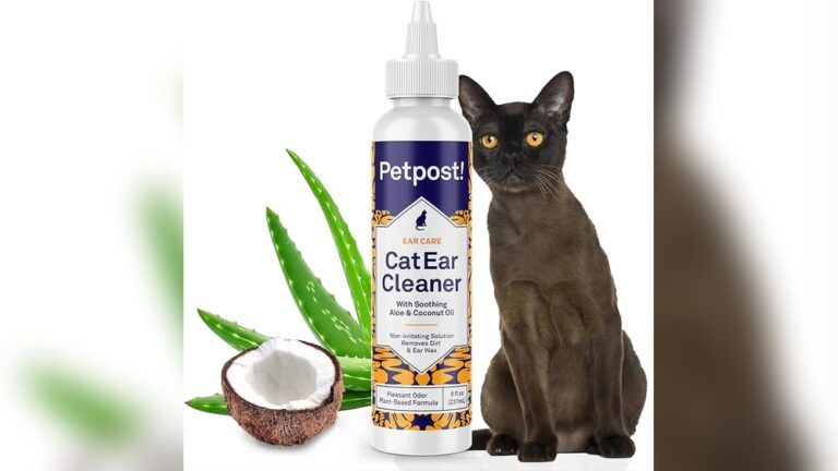 Best Ear Cleaner for Cats: Top Picks for Safe, Gentle Care
