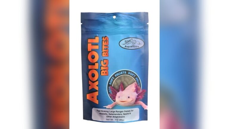 Best Earthworm Pellets for Axolotl: Top Soft Sinking Diet Choices