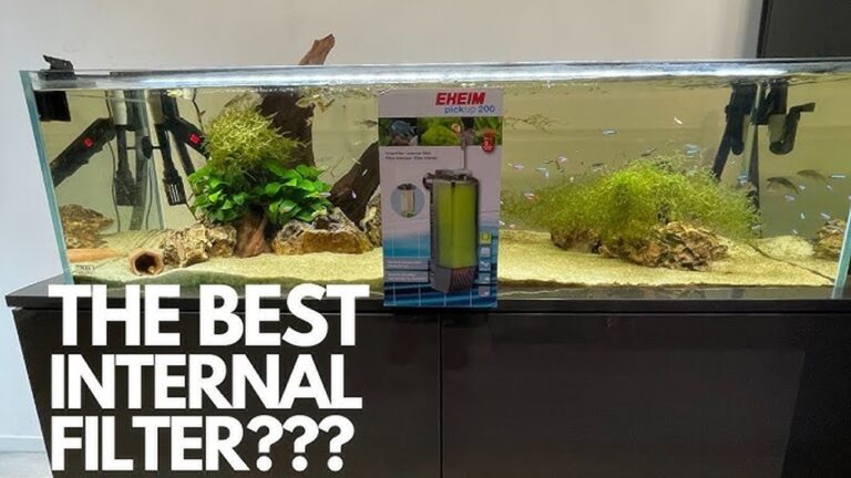 Best Eheim Filter