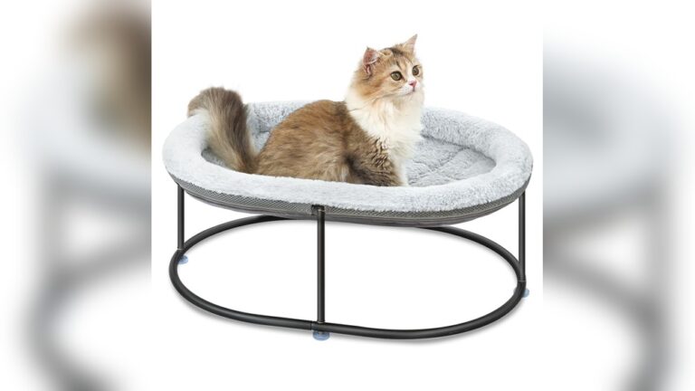Best Elevated Cat Bed: Ultimate Comfort for Your Feline Friend