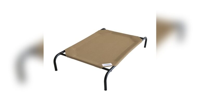 Best Elevated Dog Bed for Summer: Cool, Comfortable, and Durable Choices