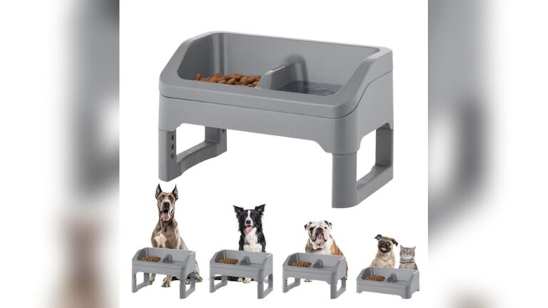 Best Elevated Feeding Station for Aviaries: Top Adjustable Bird Feeders Reviewed