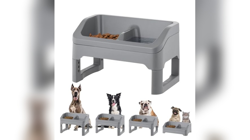 Best Elevated Feeding Station for Aviaries: Top Adjustable Bird Feeders Reviewed