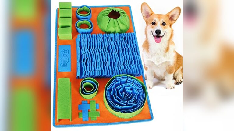 Best Enrichment Toy for Indoor Dogs: Top Interactive Puzzle Picks