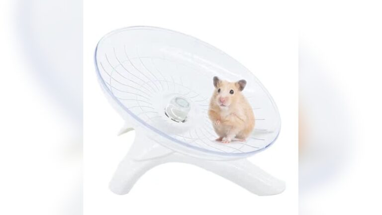 Best Exercise Ball Alternative for Hamsters No Ball: Silent Running Wheels