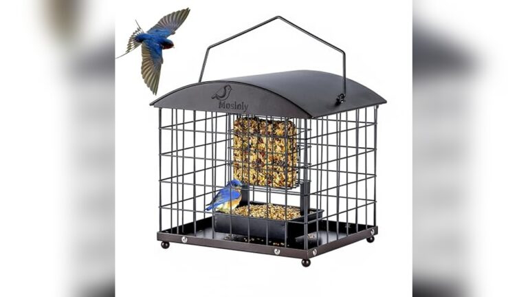 Best External Seed Feeder for Space Saving: Top Compact Bird Feeders Reviewed