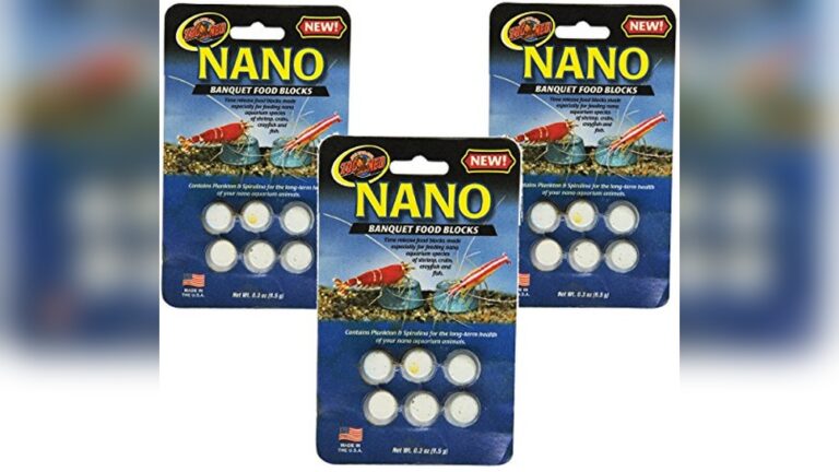 Best Feeder for Nano Tanks (Small Portions): Top Picks for Precision Feeding