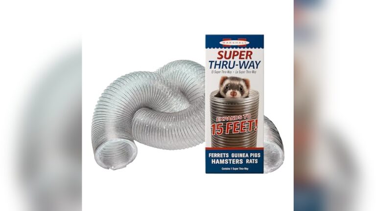 Best Ferret Play Tunnel Set for Endless Fun and Exploration