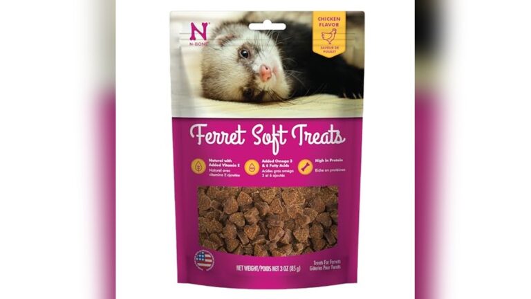 Best Ferret Treats (Meat-Based) for Healthy and Happy Ferrets