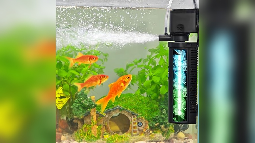 Best Filter for Goldfish (Heavy Bioload) to Keep Tanks Crystal Clear ...