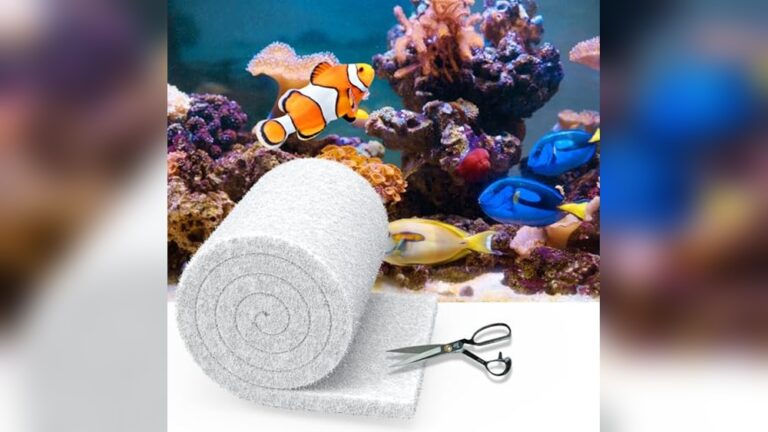 Best Filter Media for Crystal Clear Water: Top Picks for Pristine Aquariums