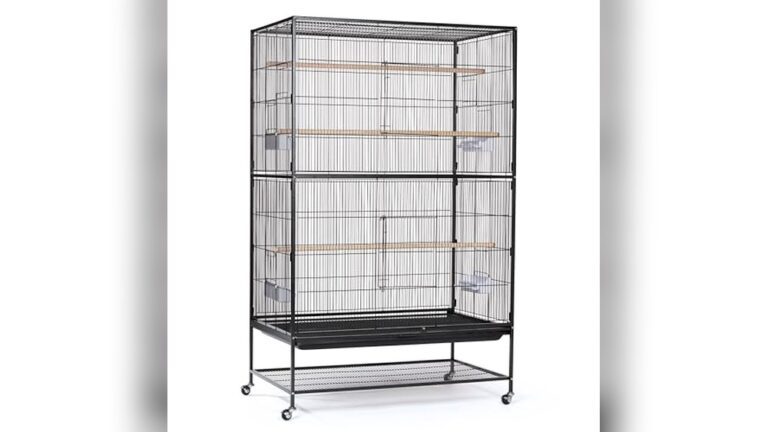 Best Finch Flight Cage (Wide) for Spacious and Secure Bird Housing