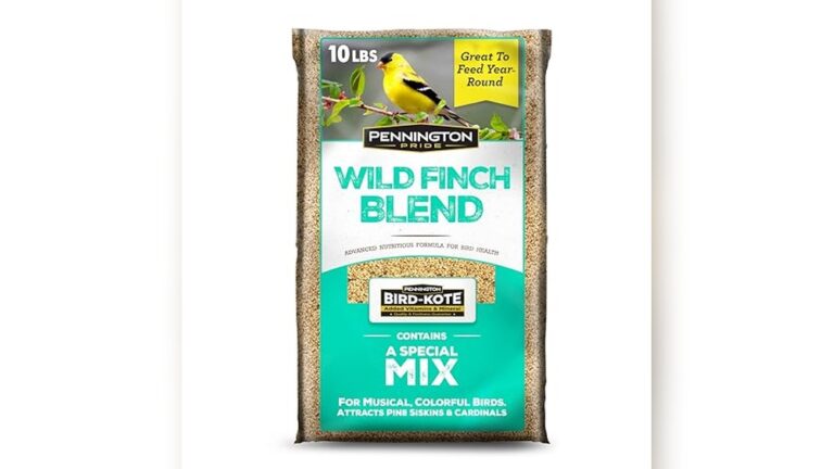 Best Finch Seed Mix for Breeding: Top Nutritious Blends for Healthy Birds