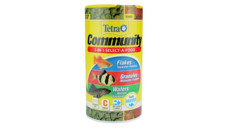 Best Fish Food for Community Tanks: Top Nutritious Choices Reviewed