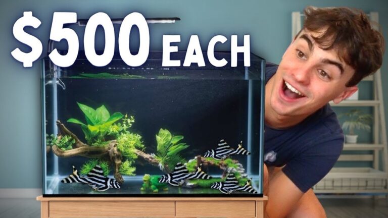 Best Fish To Breed For Profit