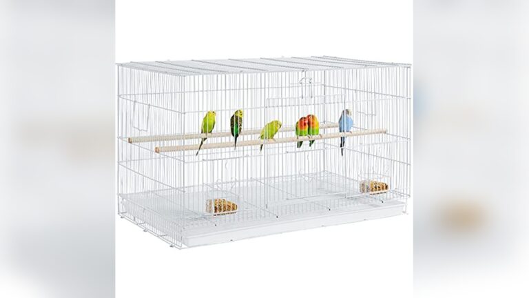 Best Flight Cage for Finches: Top Durable and Spacious Bird Cages