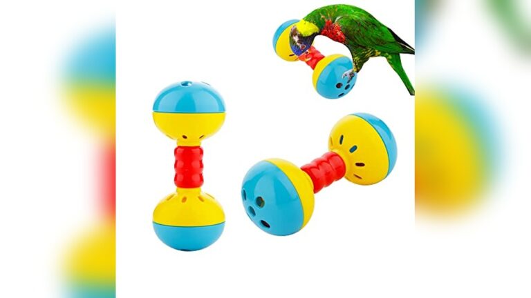 Best Foot Toys for Parrots (Fine Motor) to Boost Play and Exercise