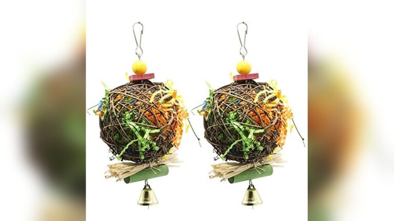 Best Foraging Toy for African Greys: Top Durable Parrot Chew Toys Reviewed