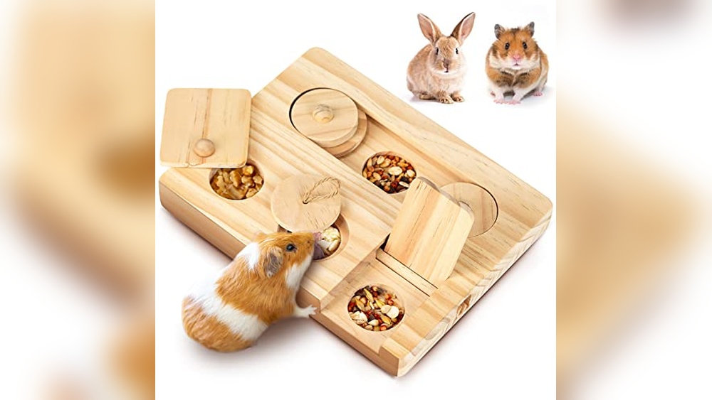 Best Foraging Toy for Hamsters: Top Interactive Enrichment Picks