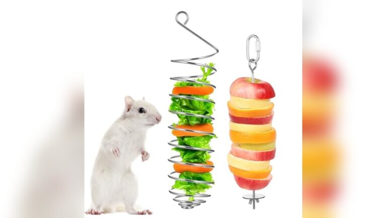 Best Foraging Toy for Rats: Interactive Stainless Steel Puzzle Feeder