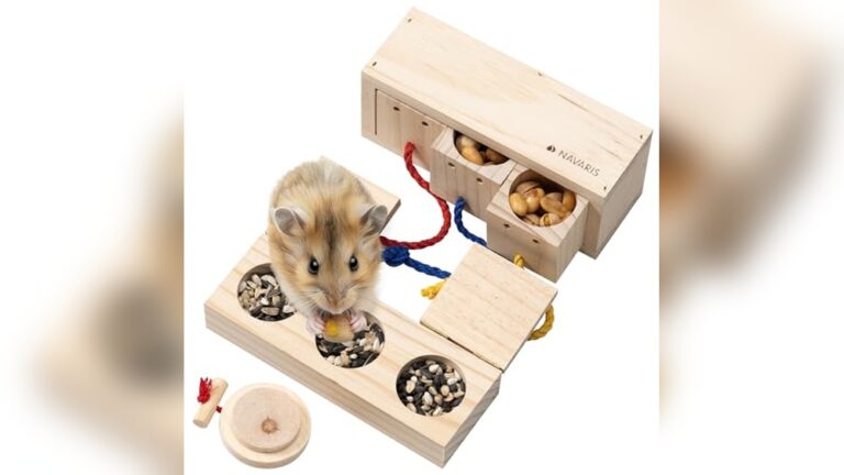 Best Foraging Tray for Gerbils: Top Wooden Toys for Fun and Exercise