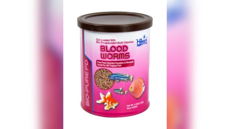 Best Freeze-Dried Bloodworms Alternative for Healthy and Vibrant Fish