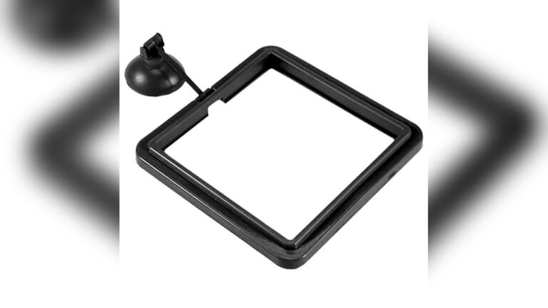 Best Gentle Filter for Neon Tetras: Top Choices to Keep Water Clear