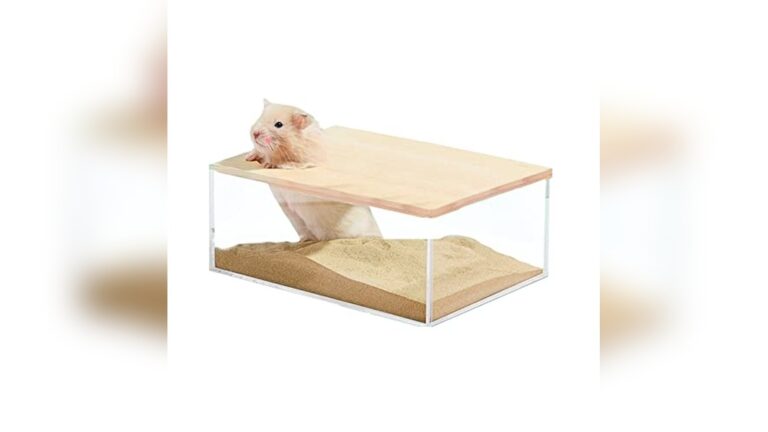 Best Gerbil Sand Bath Hide for Small Pets: Top Durable Picks