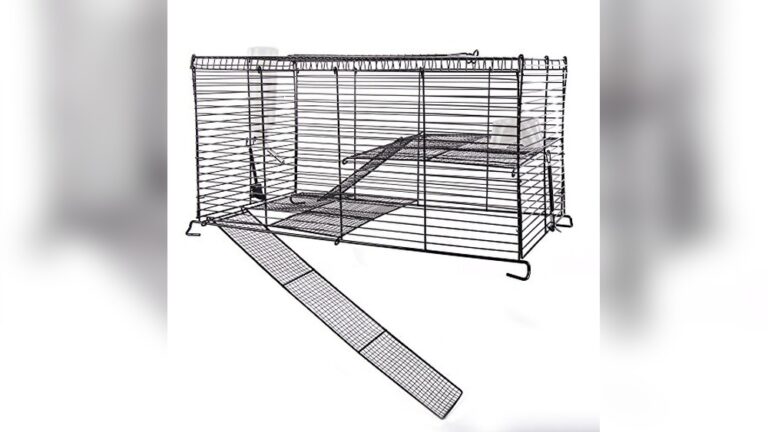 Best Gerbil Tank Topper Options for Safe and Comfortable Habitats