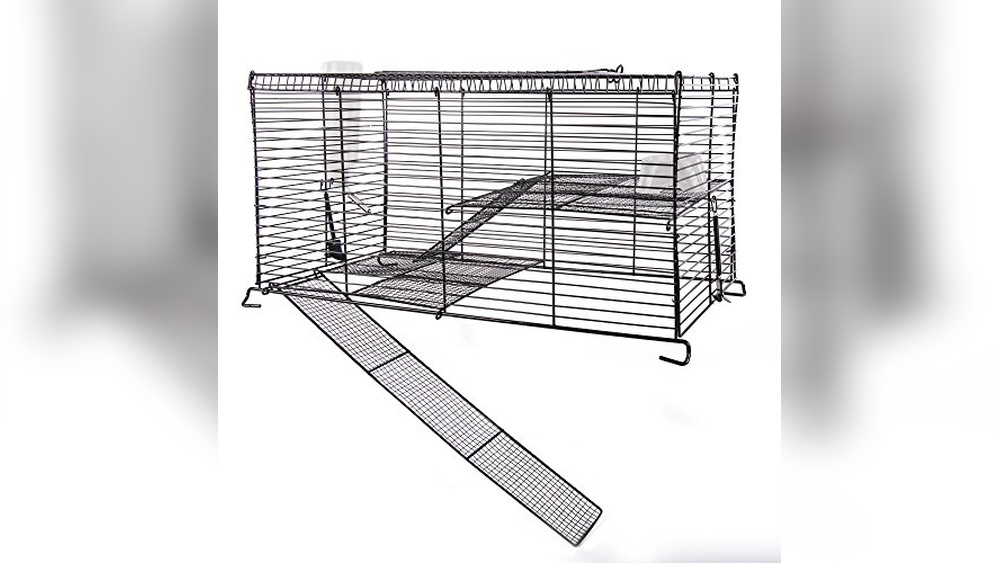 Best Gerbil Tank Topper Options for Safe and Comfortable Habitats