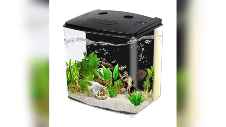 Best Goldfish Tank for 2 Goldfish: Top Small Aquariums Reviewed
